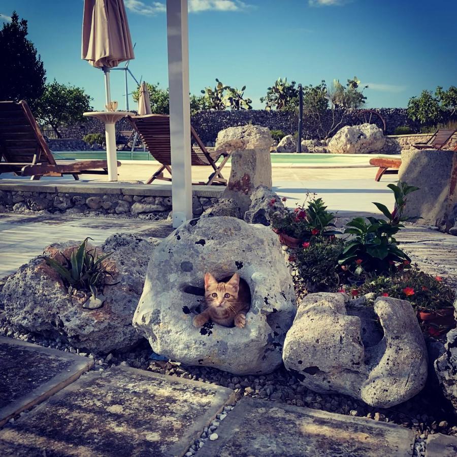 קרפיניאנו סלינטינו Agriturismo Masseria Saittole מראה חיצוני תמונה