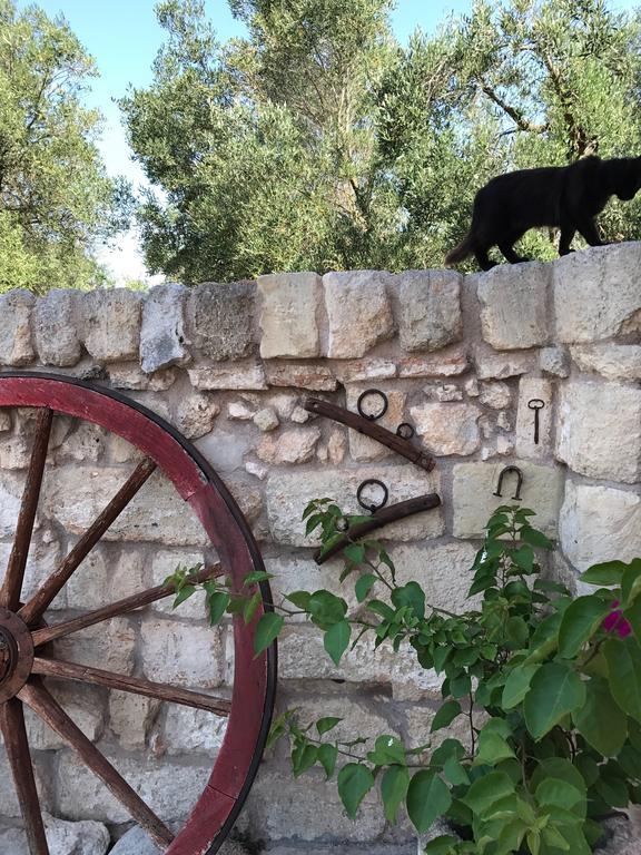 קרפיניאנו סלינטינו Agriturismo Masseria Saittole מראה חיצוני תמונה