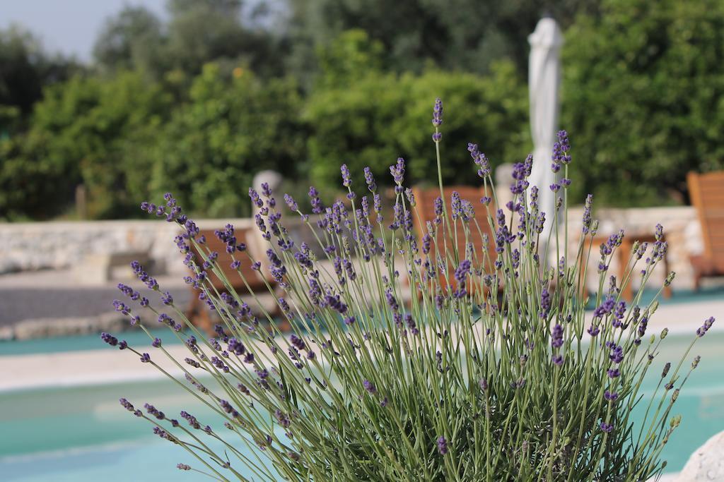 קרפיניאנו סלינטינו Agriturismo Masseria Saittole מראה חיצוני תמונה